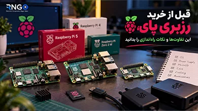 برد رزبری پای چیست